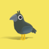 Crow - Quirky Series