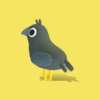Crow - Quirky Series - Image 12