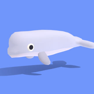 Quirky-Series-Artic-Animals-Beluga