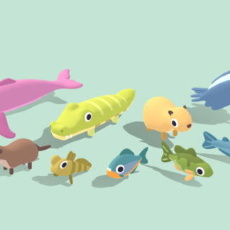 River Animals Vol 2 - Quirky Series