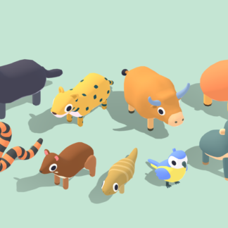 Jungle Animals Vol 2 - Quirky Series