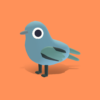 Cicadabird - Quirky Series