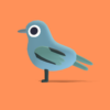 Cicadabird - Quirky Series - Image 10