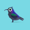 Common Scimitarbil - Quirky Series - Image 11