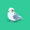 Gyrfalcon - Quirky Series
