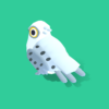 Gyrfalcon - Quirky Series - Image 10