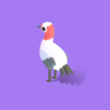 Sarus Crane - Quirky Series - Image 10