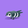 Swift - Quirky Series