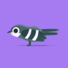 Swift - Quirky Series - Image 11