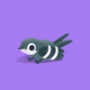 Swift - Quirky Series - Image 4