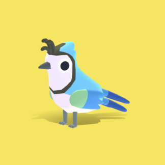 White Throated Magpie Jay - Quirky Series